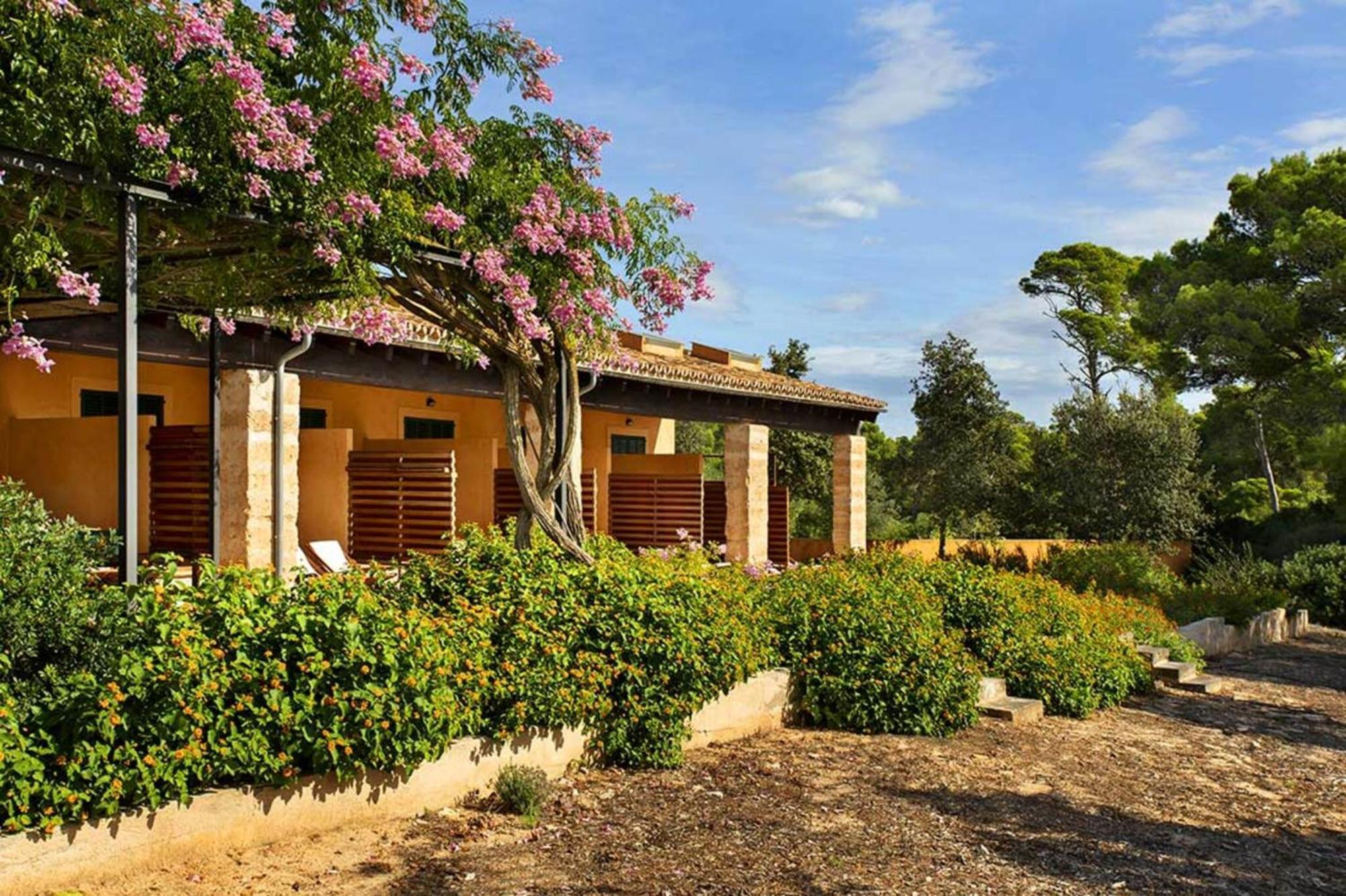 Finca Ses Arenes Διαμέρισμα Colonia de Sant Jordi Εξωτερικό φωτογραφία