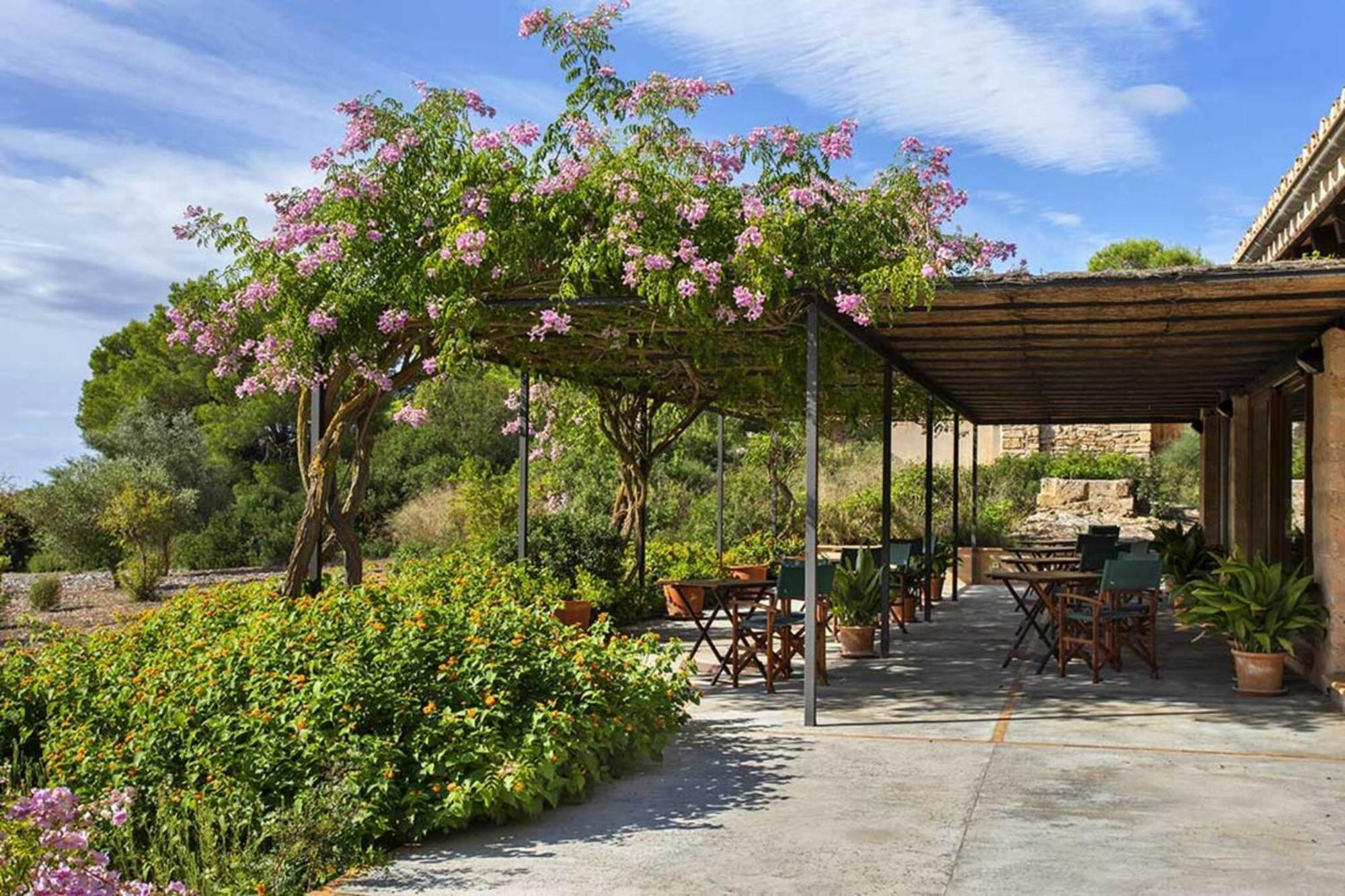 Finca Ses Arenes Διαμέρισμα Colonia de Sant Jordi Εξωτερικό φωτογραφία